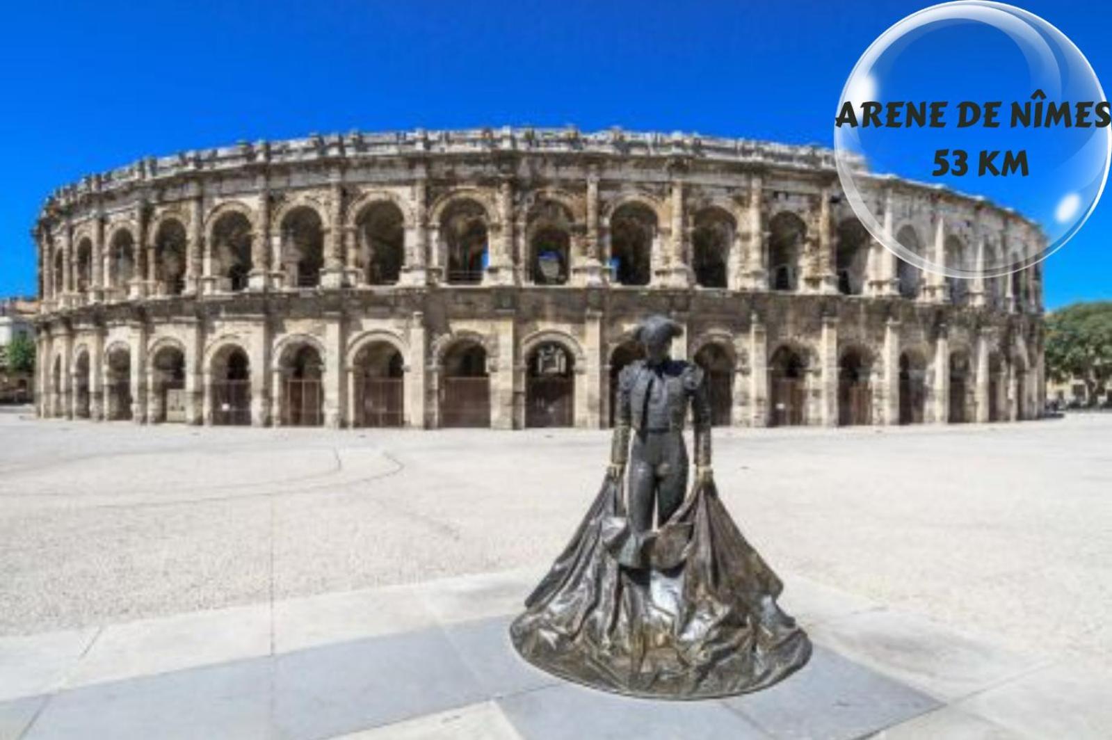 Le Cosy Du Gal, A 2 Pas Du Palais Des Papes Parking Gratuit Securise Lägenhet Avignon Exteriör bild