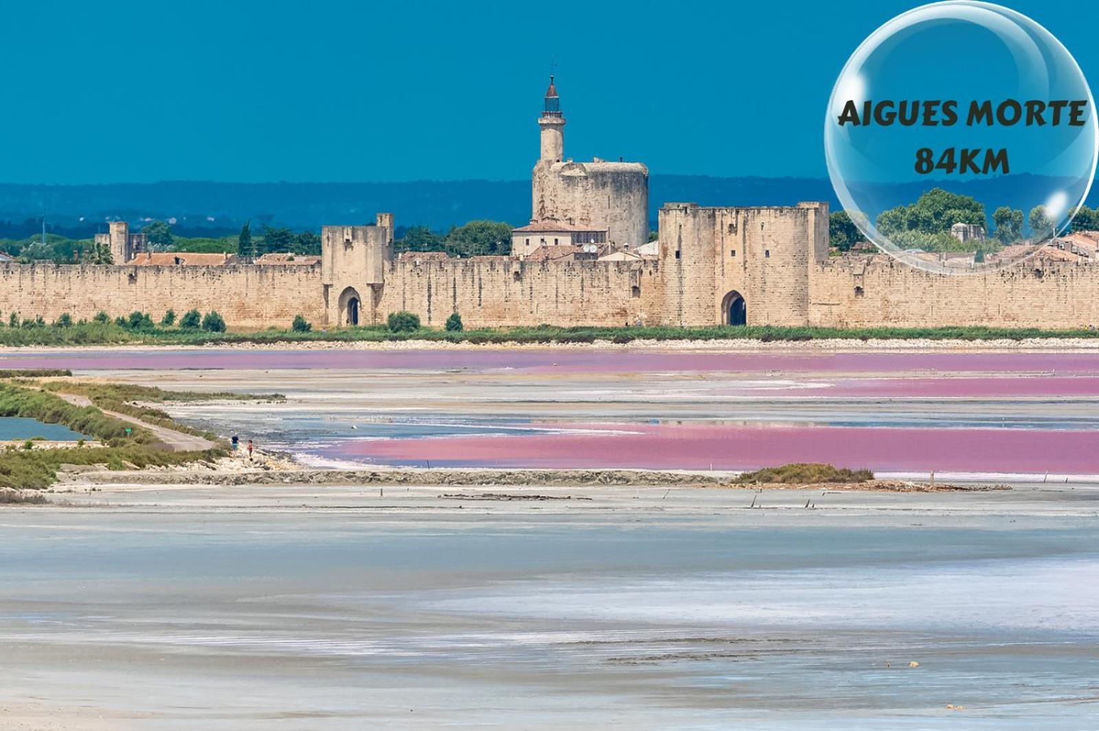 Le Cosy Du Gal, A 2 Pas Du Palais Des Papes Parking Gratuit Securise Lägenhet Avignon Exteriör bild
