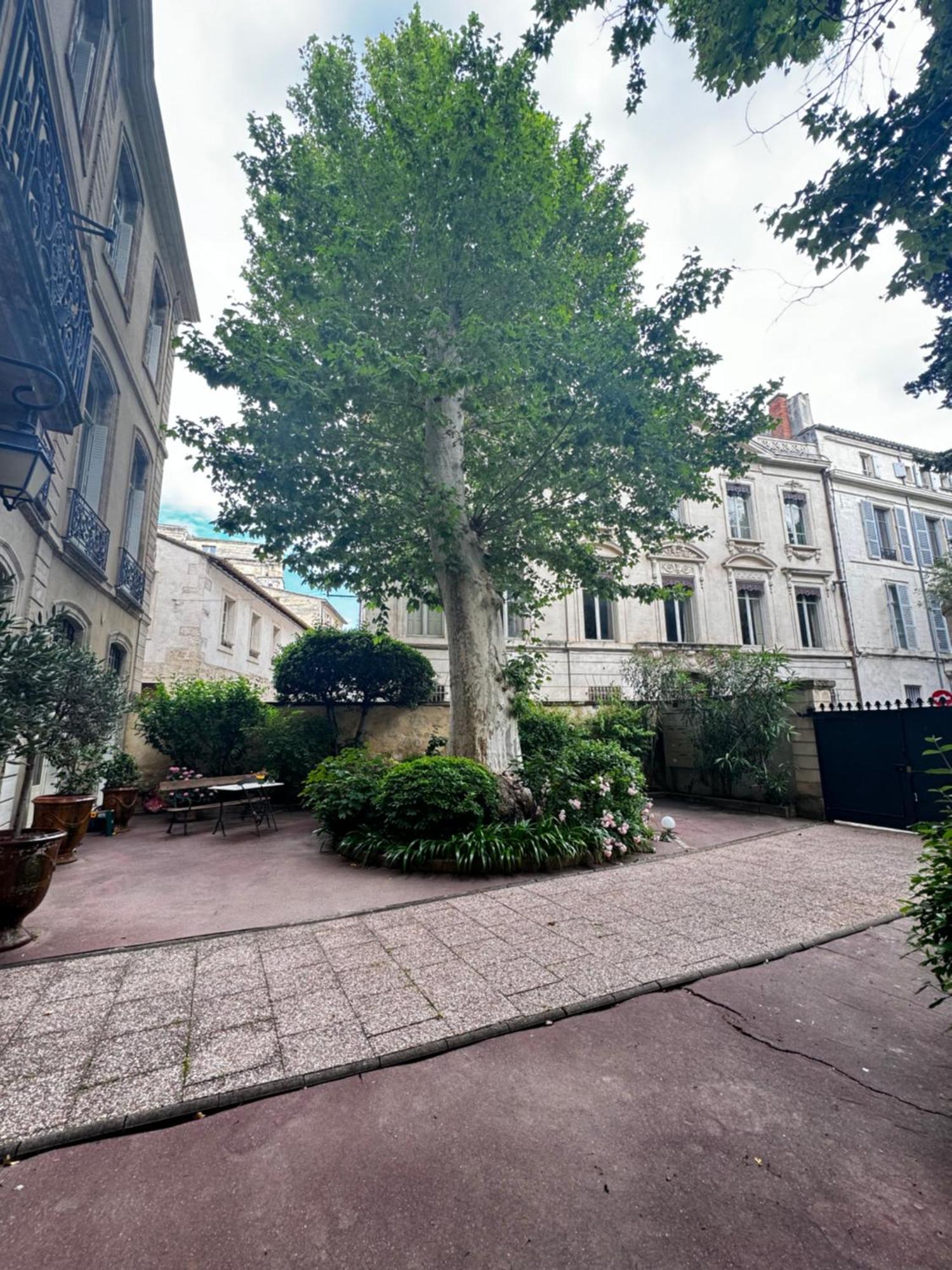 Le Cosy Du Gal, A 2 Pas Du Palais Des Papes Parking Gratuit Securise Lägenhet Avignon Exteriör bild